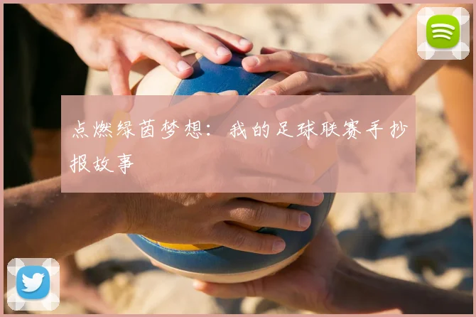 点燃绿茵梦想：我的足球联赛手抄报故事